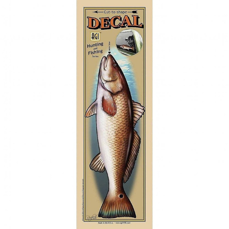 Salty Bones Redfish Profile 2
