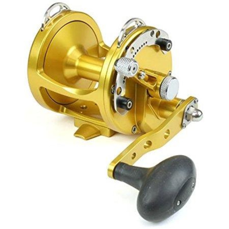 AVET HX 4.2 – Gold
