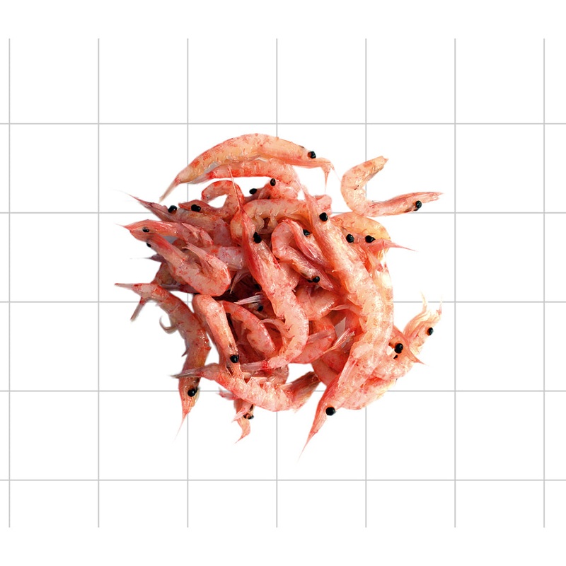 Bionic Superba Krill