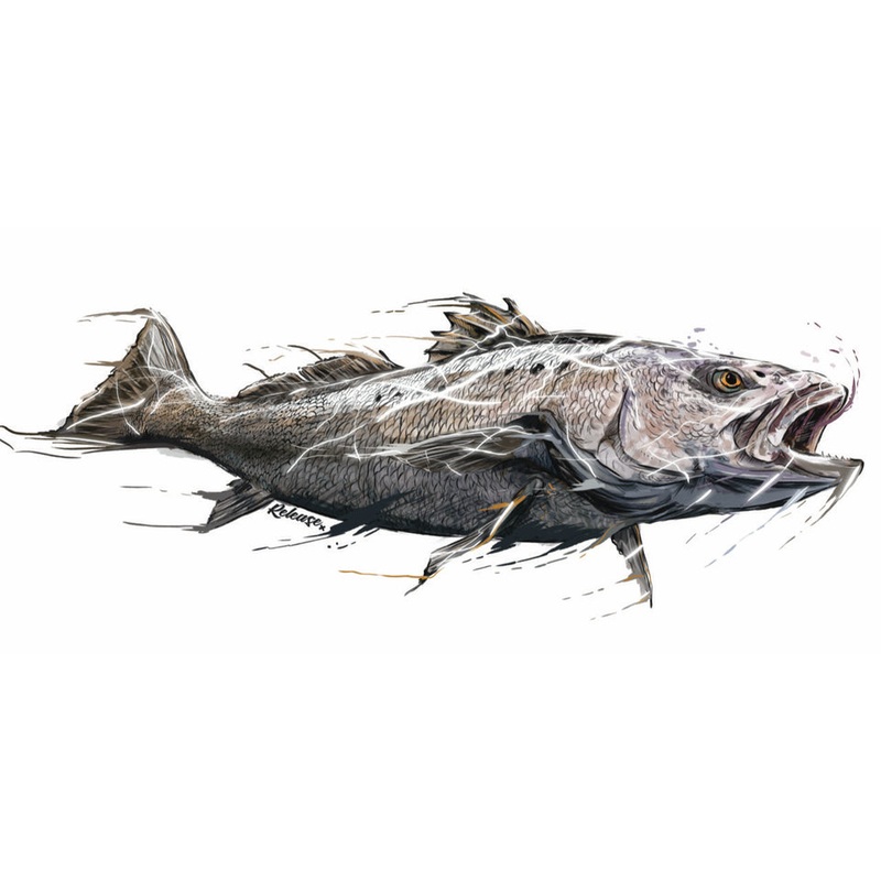 Jewfish Decal