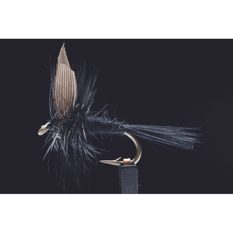 Black Gnat Fishing Fly