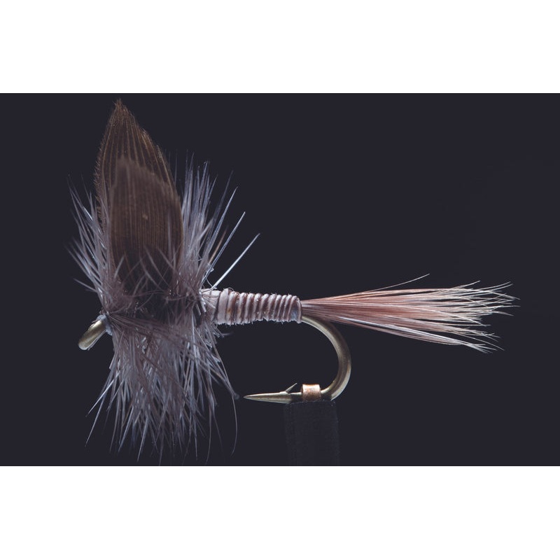 Blue Quill Fishing Fly