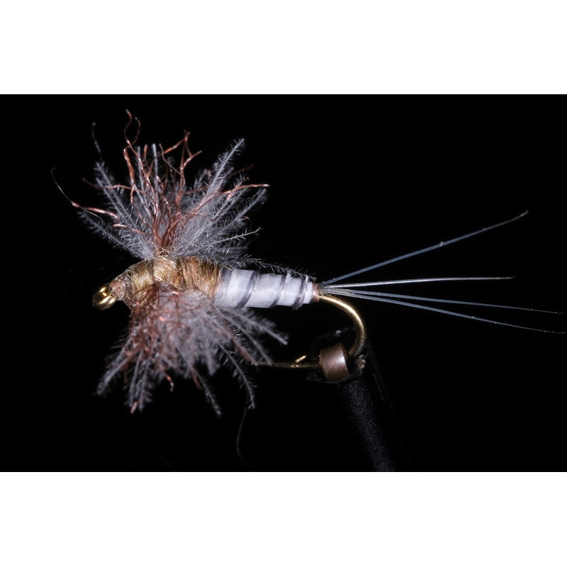 Callibaetis Biot Spinner Fishing Fly