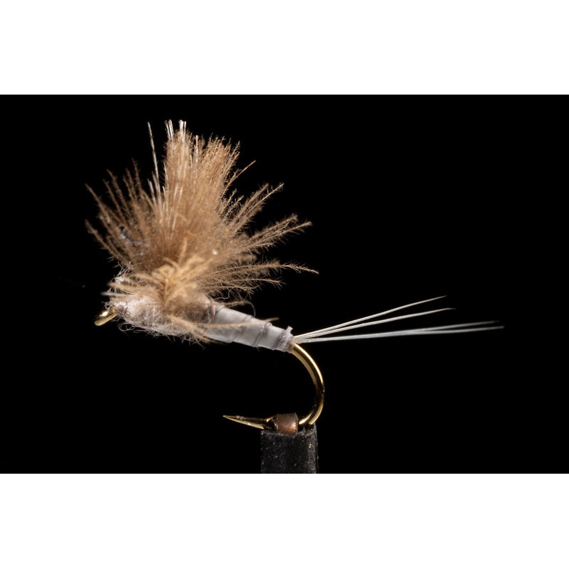 CDC Biot Comparadun Grey Fishing Fly