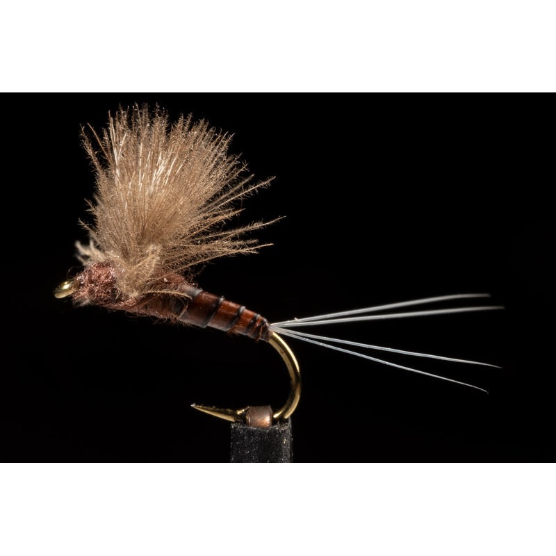 CDC Biot Comparadun Mahogany Fishing Fly