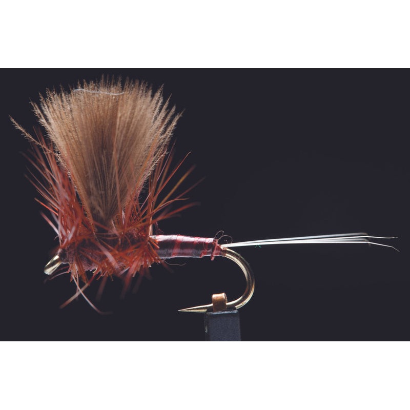 CDC Thorax Dun Dark Fishing Fly
