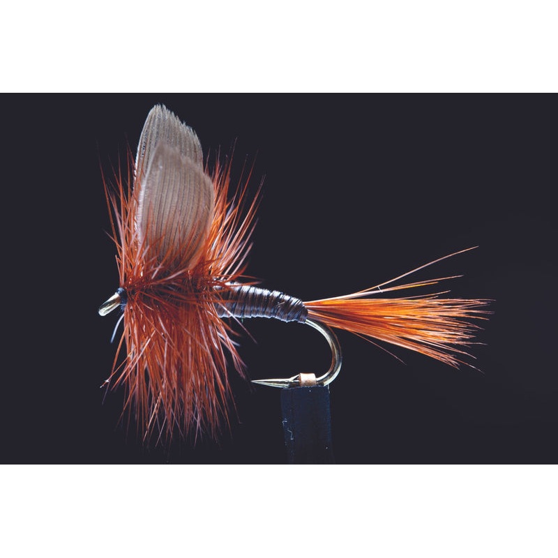 Dad’s Favourite Fishing Fly