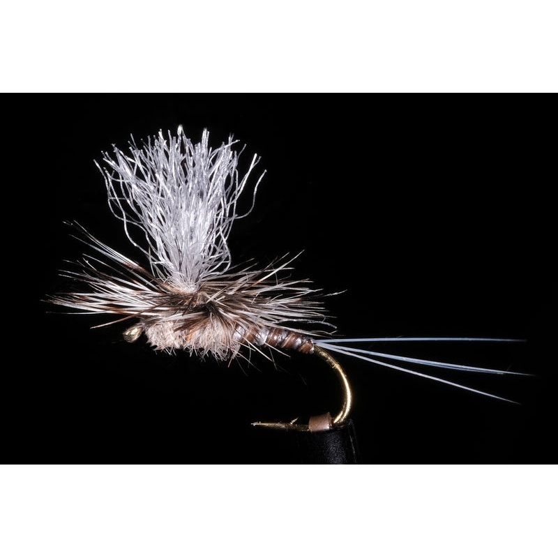 Kyle’s Nesameletus Dry Fishing Fly