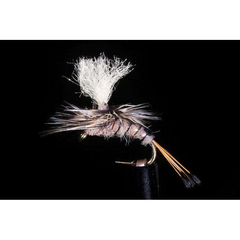 Kyle’s Nesameletus Emerger Fishing Fly