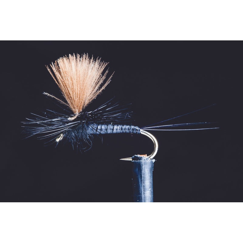 Quill Spinner Black Fishing Fly