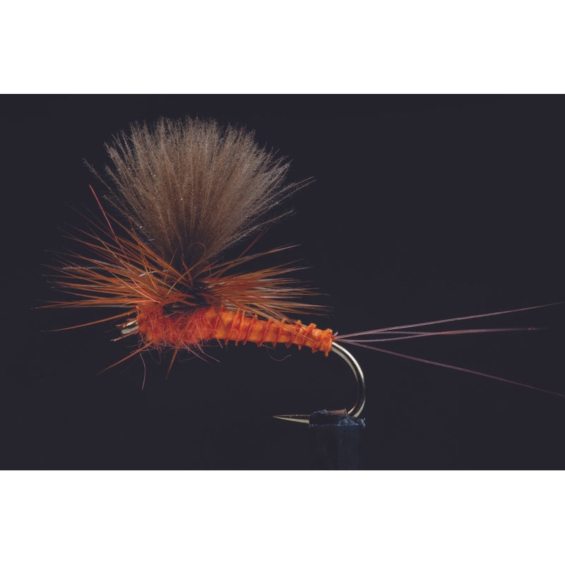 Quill Spinner Rusty Fishing Fly