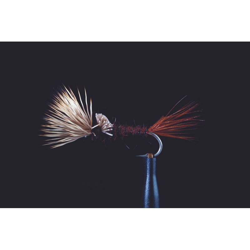 Shaving Brush Fishing Fly