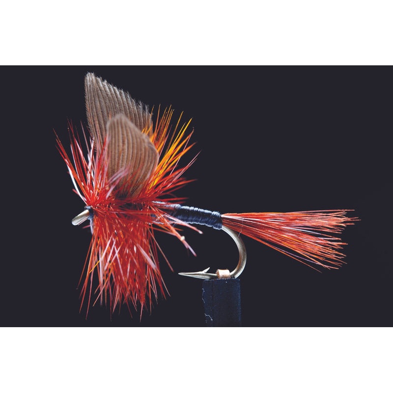 Twighlight Beauty Fishing Fly