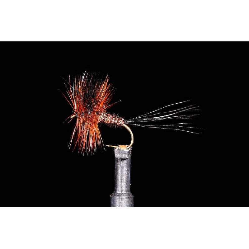 Wave Rider Dun Fishing Fly