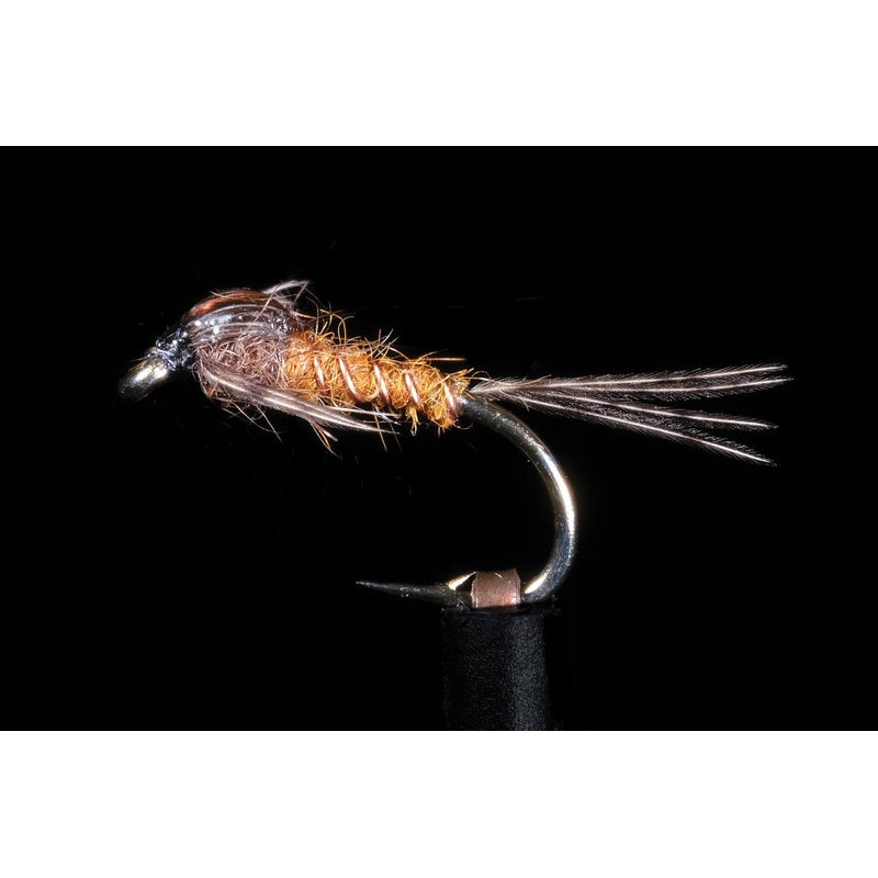 Assassin Brown Fishing Fly