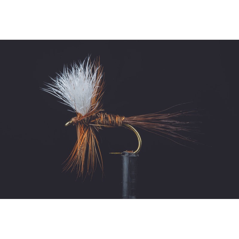 Back Country Wulff Fishing Fly