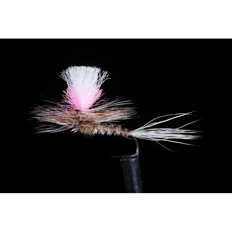 Guide Chute Fishing Fly