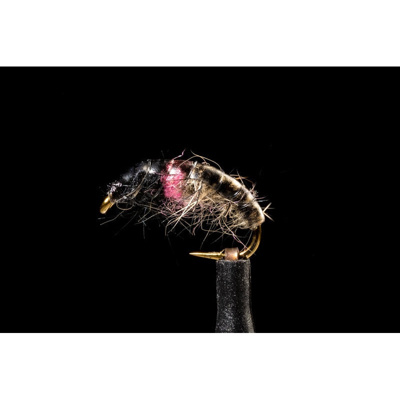 Hot Spot Czech Nymph Caddis Tan/Pink Fishing Fly