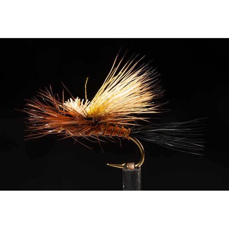 Kyle’s Coloboriscus Dry Fishing Fly