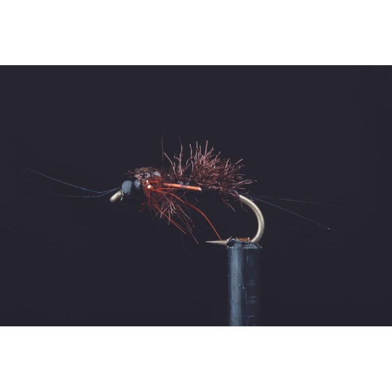 Kyle’s Coloboriscus Fishing Fly