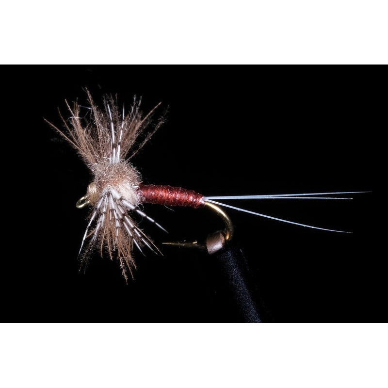 Kyle’s Deletidium Fishing Fly