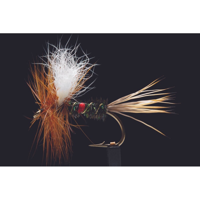 Royal Wulff Fishing Fly