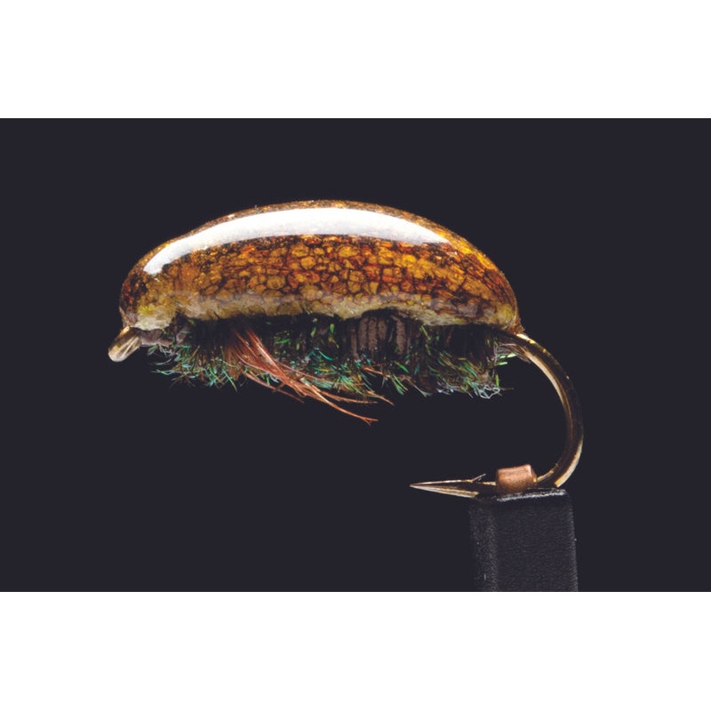 True Brown Beetle Fishing Fly
