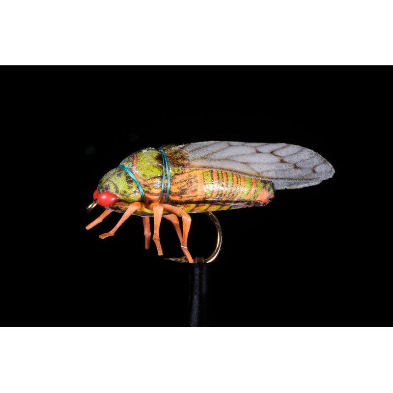 True Cicada Fishing Fly