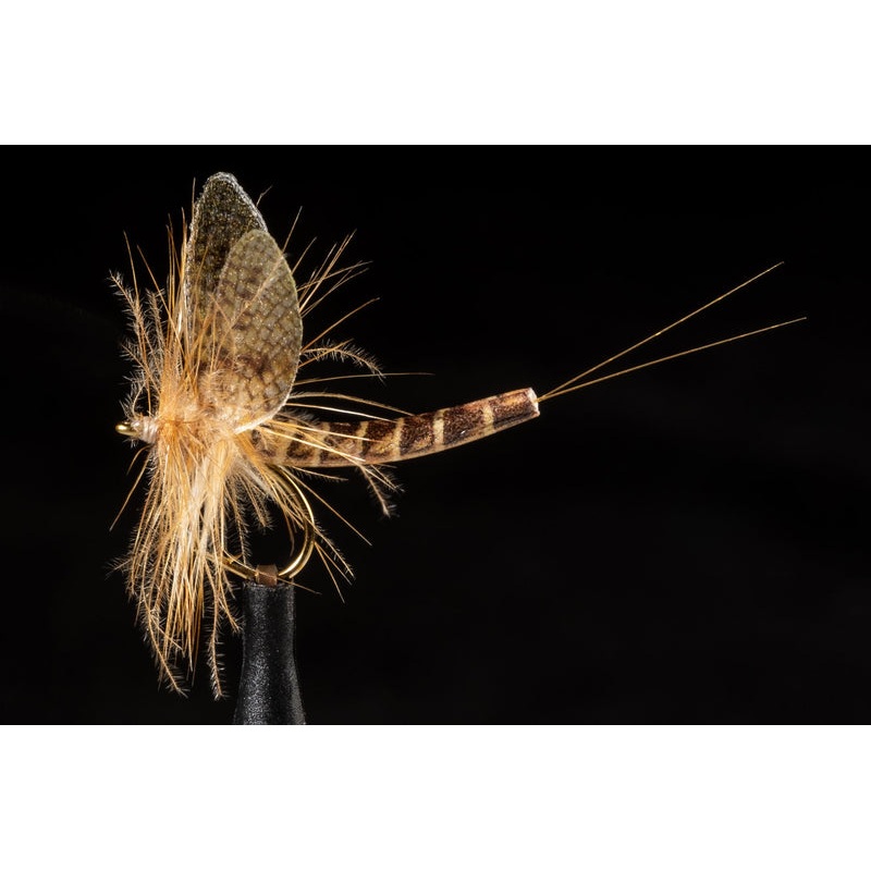 True Hexagenia Mayfly Fishing Fly