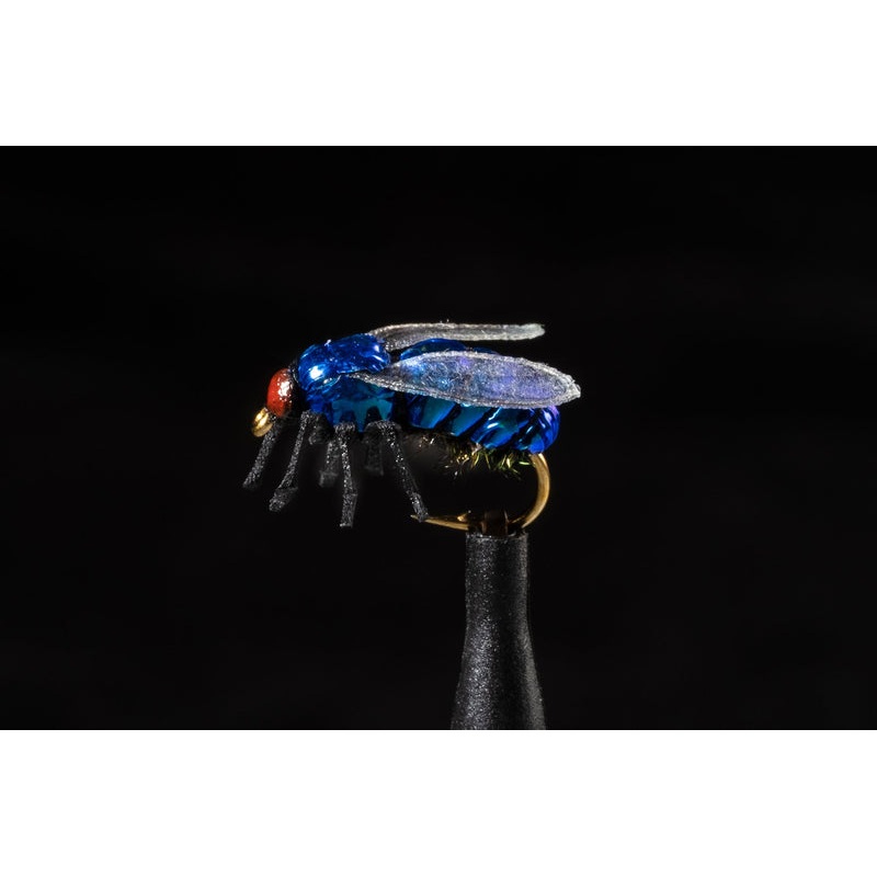 True House Fly Blue Fishing Fly