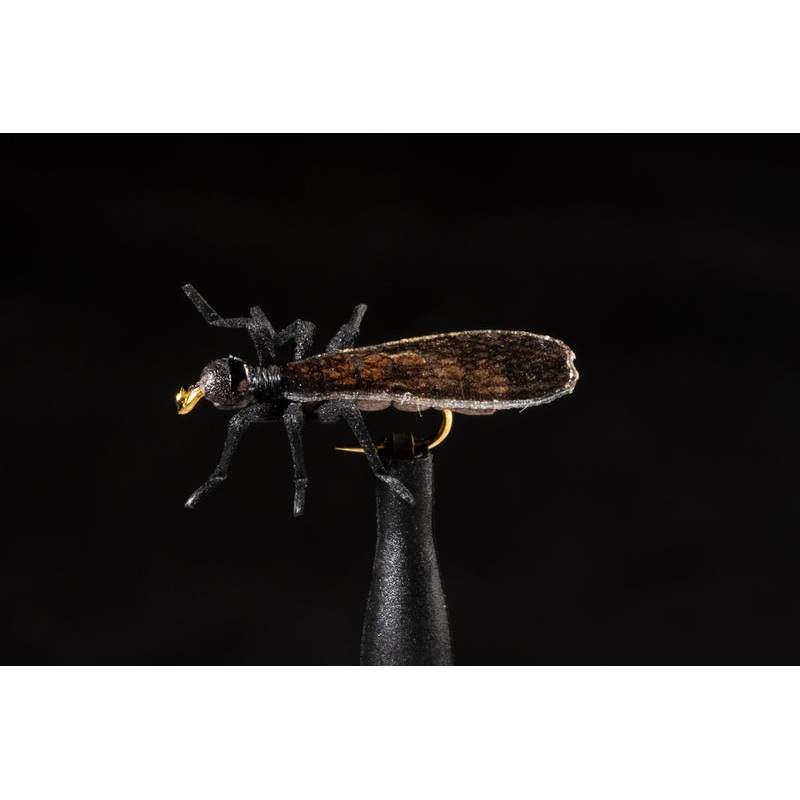 True Little Black Stonefly Fishing Fly