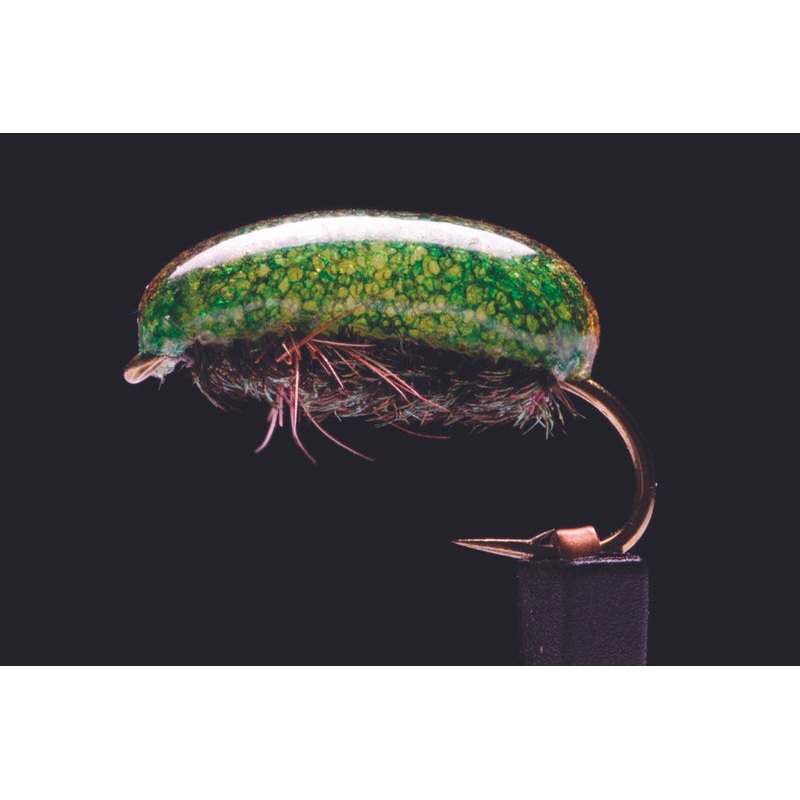 True Manuka Beetle Fishing Fly