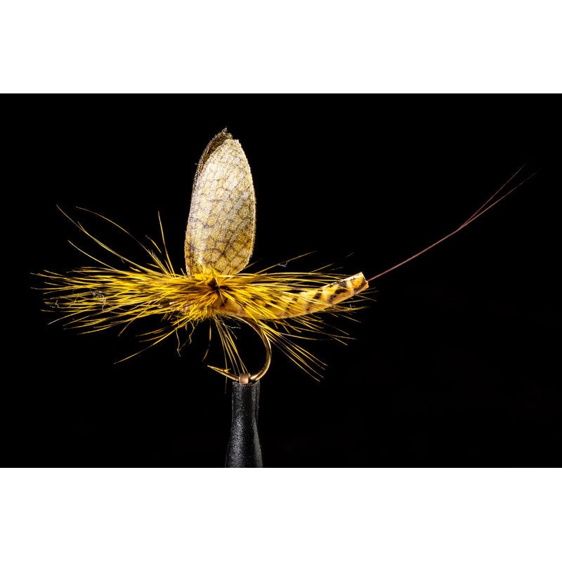 True Vulgata Mayfly Fishing Fly