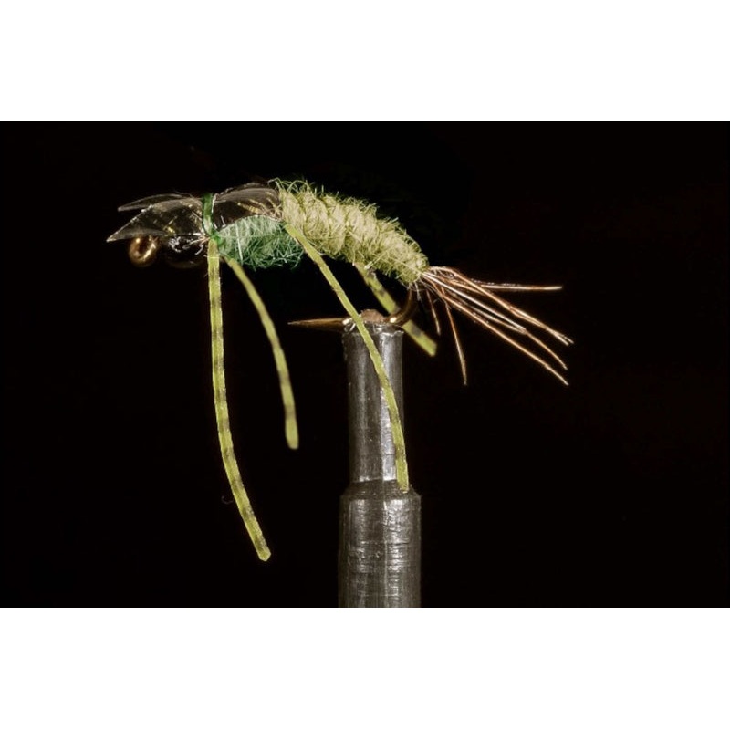 Davis’ BC Stonefly Olive Fishing Fly