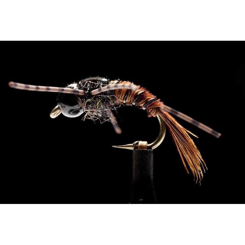 Davis’ BC Stonefly PT Fishing Fly