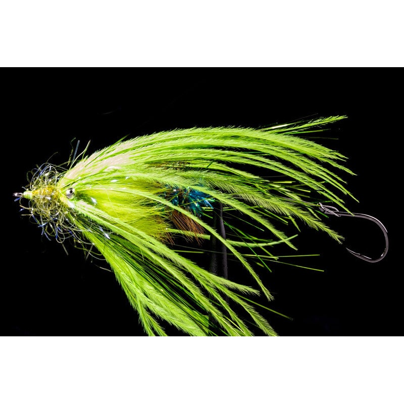 Fish Taco Chartreuse Fishing Fly