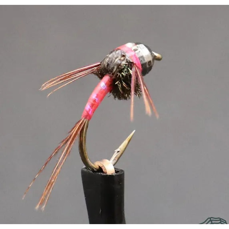 C3 Consultant UV Pink