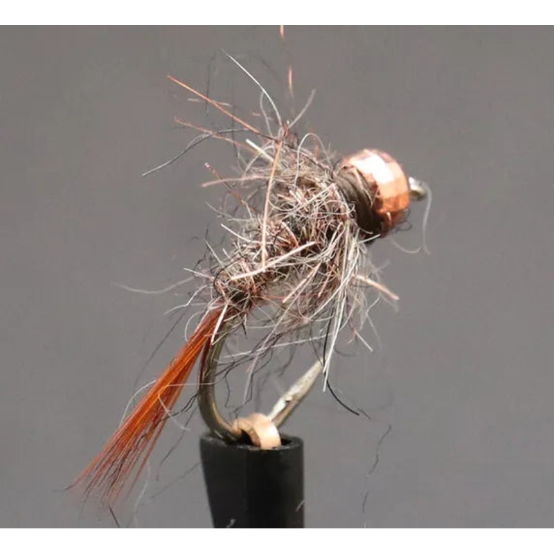 C3 Hare & Copper Copper