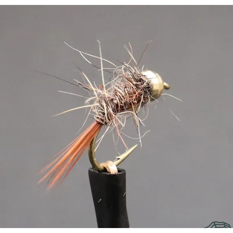 C3 Hare & Copper Gold