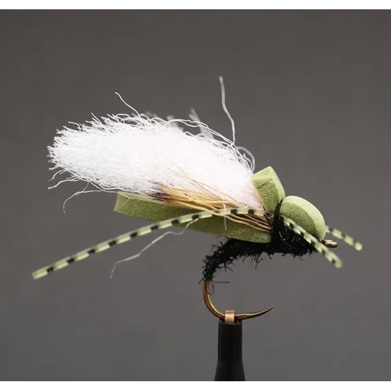 C3 Woomfah Olive