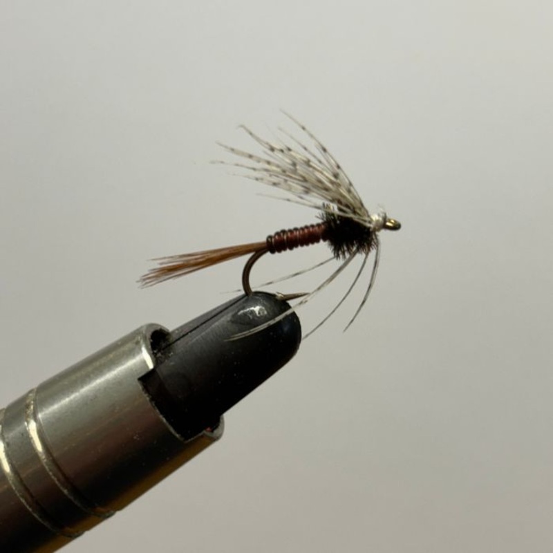 Creel Flies- Deleatidium Soft Hackle