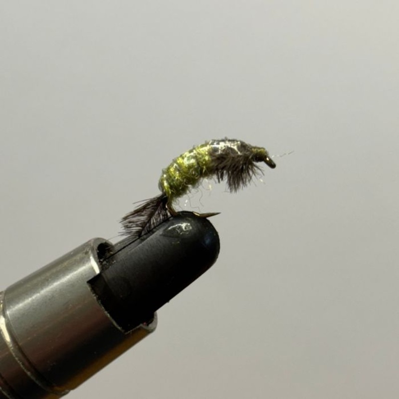 Creel Flies- Net Builder Caddis, Olive