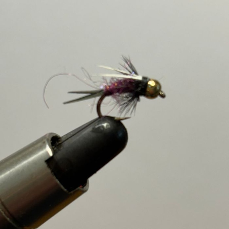 Creel Flies- Purple Prince GB