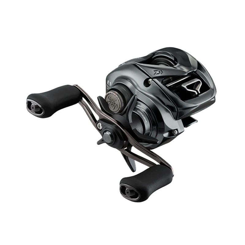 DAIWA 24 TATULA SV TW 100