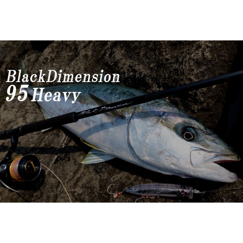 TRUTH JAPAN Spinning Rod BlackDimension 95Heavy