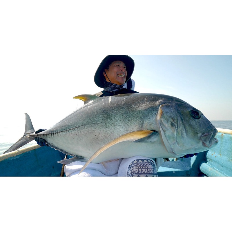 D-Claw Floating Stickbait Marino 210mm 108g