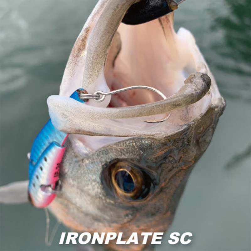 COREMAN IRON PLATE IP-10