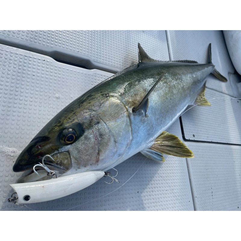 Good Bait BnD 163F Diving Popper