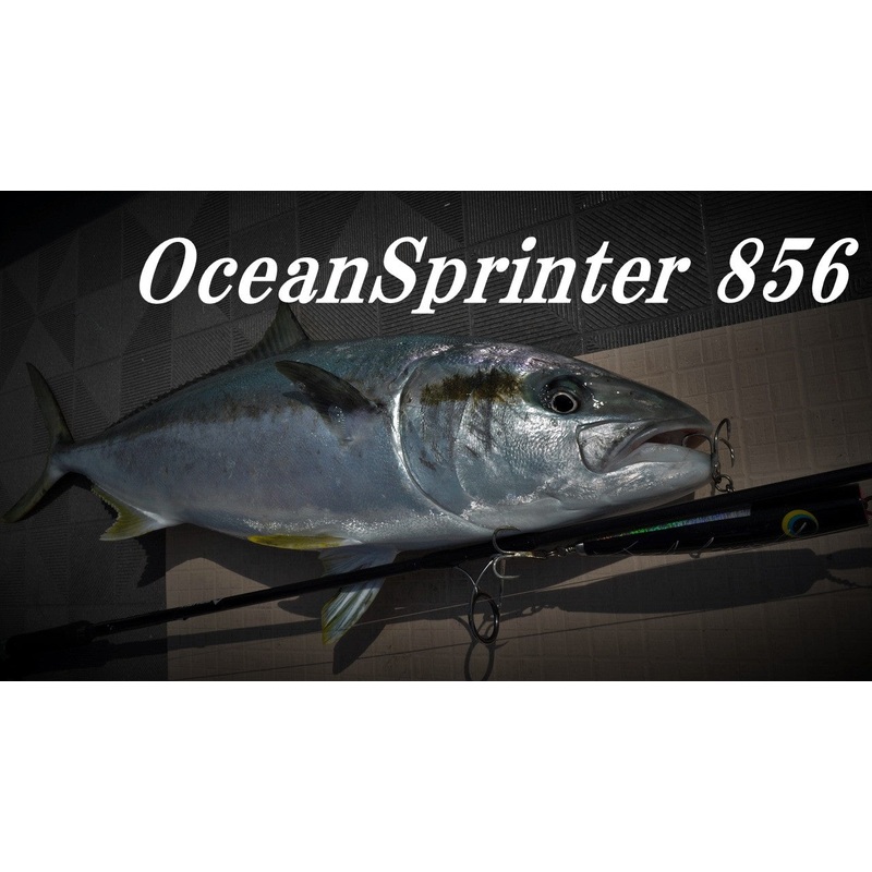 TRUTH JAPAN Oceansprinter 856