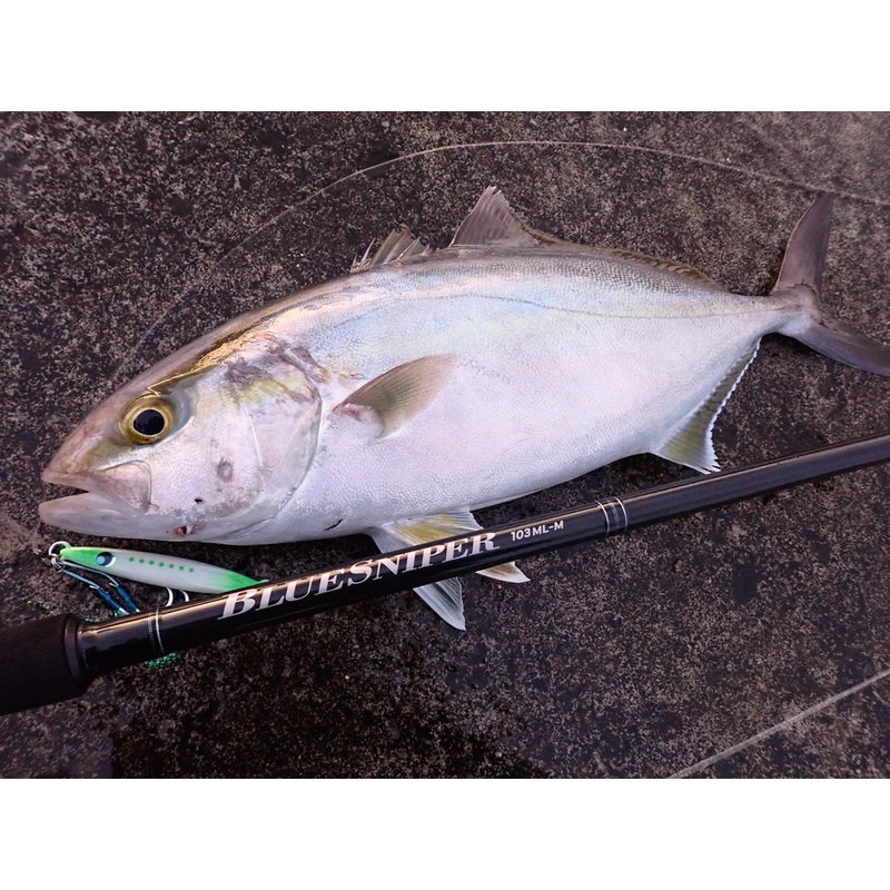 2024 YAMAGA BLANKS SHORE CASTING ROD BLUESNIPER 103ML-M